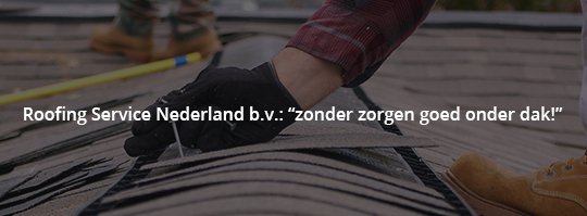 Dakdekkersbedrijf Roofing Service Nederland