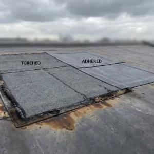 Twee dakbedekkingssecties naast elkaar op plat dak: één ingebrand met matte textuur, één gladder en flexibeler, onder bewolkte Nederlandse lucht.