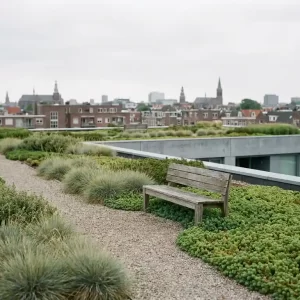 Groen dak met siergras, lage struiken en grindpad op een commercieel gebouw, houten bank omringd door sedum onder bewolkte Nederlandse lucht.