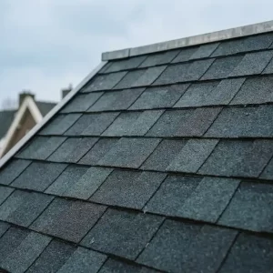 Donkere antraciet dakshingles op een Nederlands woonhuis, met overlappende lagen en gedetailleerde asfaltstructuur tegen een bewolkte lucht.