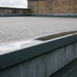 Aluminium dakgoot langs bitumen platdak met staand water dat bewolkte Nederlandse lucht weerspiegelt, waterstrepen op de dakrand zichtbaar.