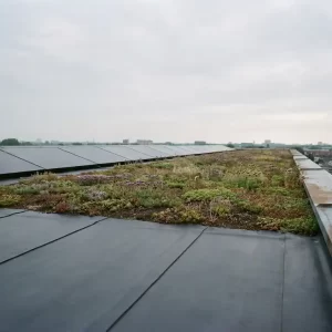 Plat dak met EPDM-membraan, sedum begroeide dakbedekking en flush-gemonteerde zonnepanelen onder bewolkte Nederlandse lucht.