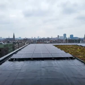 Commercieel plat dak met zwart EPDM-membraan, zonnepanelen en sedumdak boven Nederlandse stadshorizon bij bewolkt daglicht.