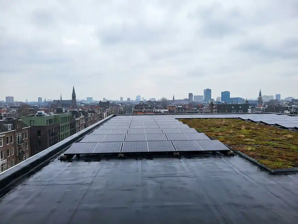 Commercieel plat dak met zwart EPDM-membraan, zonnepanelen en sedumdak boven Nederlandse stadshorizon bij bewolkt daglicht.