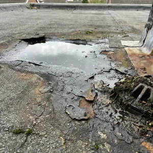Verweerd plat dak met scheurend bitumenmembraan, opstaand water in verzakking en mosafzetting bij verstopte afvoer.
