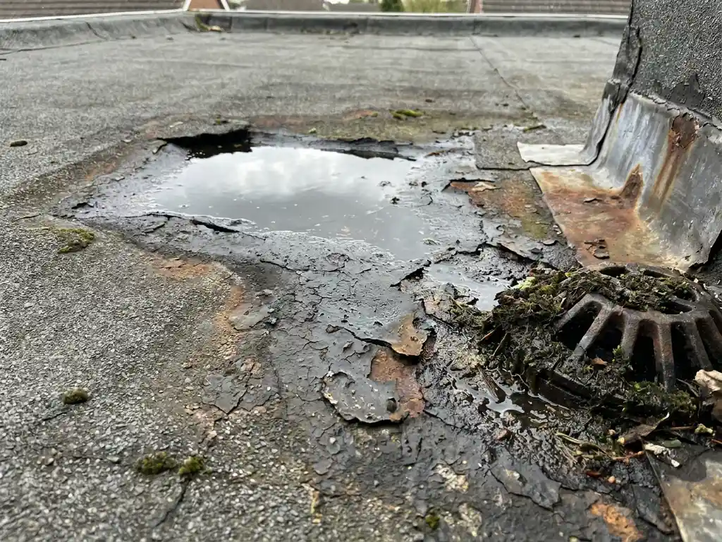 Verweerd plat dak met scheurend bitumenmembraan, opstaand water in verzakking en mosafzetting bij verstopte afvoer.