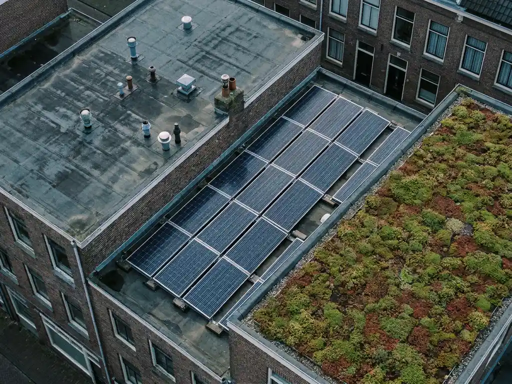 Luchtfoto van drie platte daken op aangrenzende Nederlandse bedrijfspanden met bitumen dakbedekking, sedum begroeide daklaag en zonnepanelen.