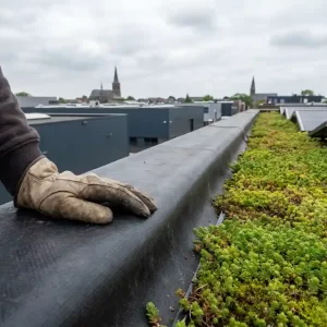Handschoen van dakdekker op zwart dakfolie naast groen sedumgordel met zonnepanelen op plat commercieel dak in Nederland.